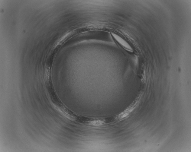 X0000066520168200604071601