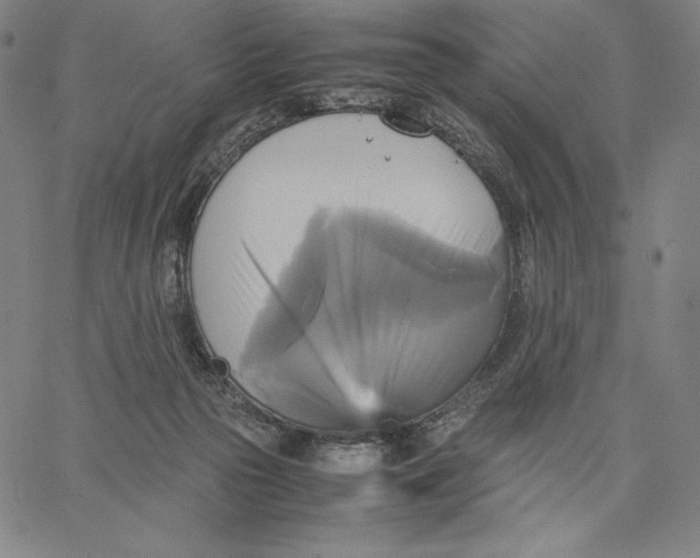 X0000066520169200604071601