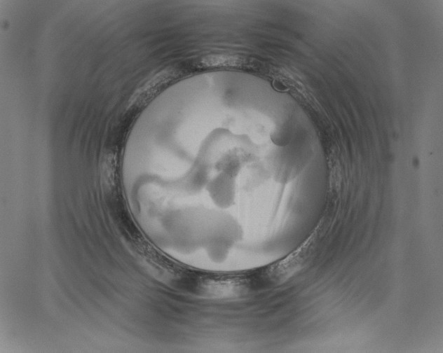 X0000066520171200604071601