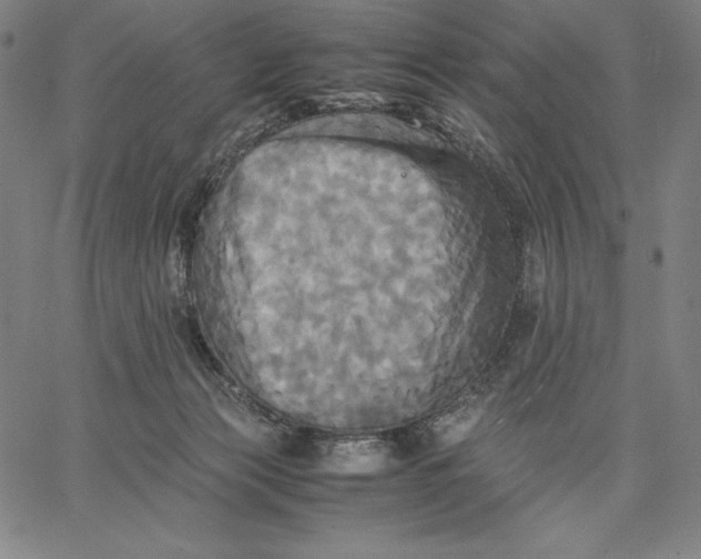 X0000066520173200604071601