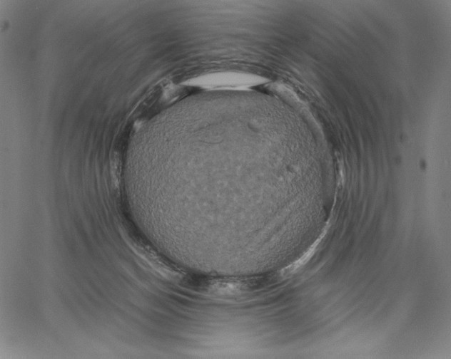 X0000066520174200604071601