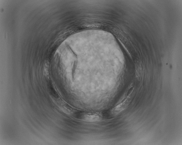 X0000066520175200604071601