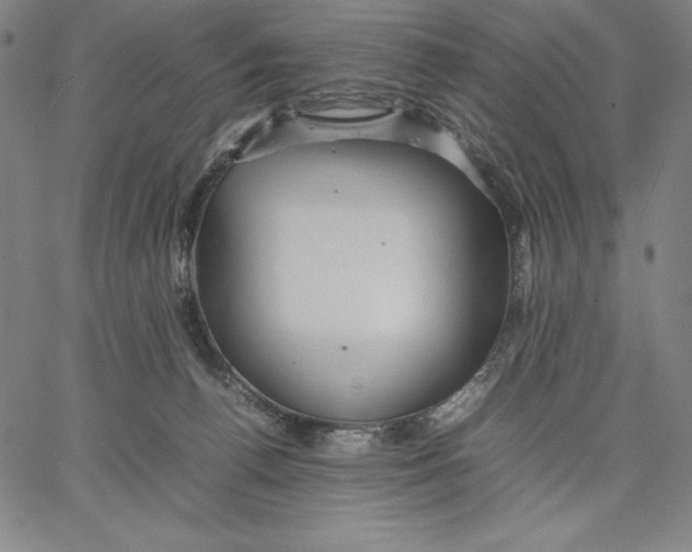 X0000066520176200604071601