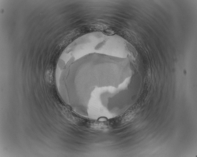 X0000066520177200604071601