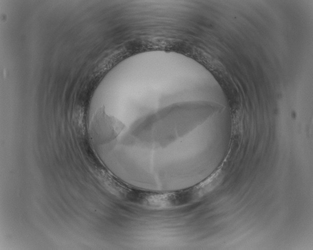 X0000066520178200604071601