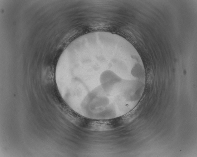 X0000066520179200604071601