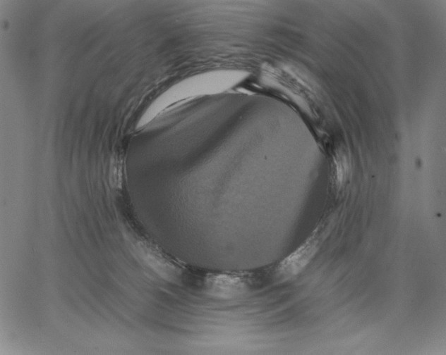 X0000066520180200604071601