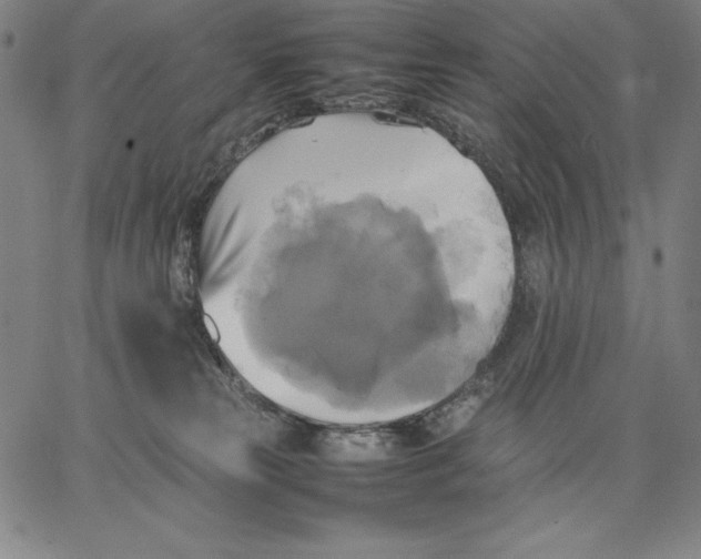 X0000066520181200604071601