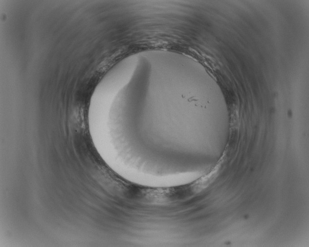 X0000066520182200604071601