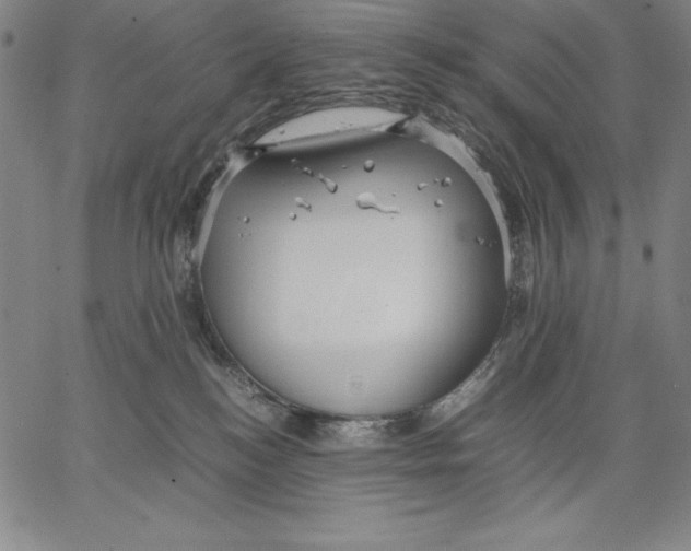 X0000066520184200604071601