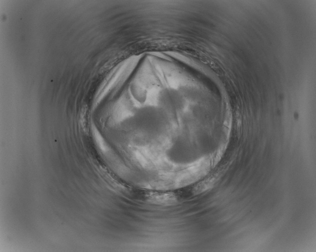 X0000066520185200604071601