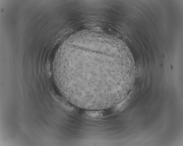 X0000066520187200604071601