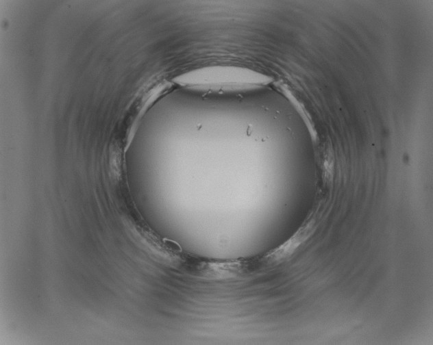 X0000066520188200604071601