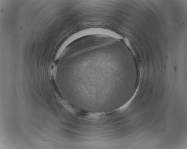 X0000066520190200604071601