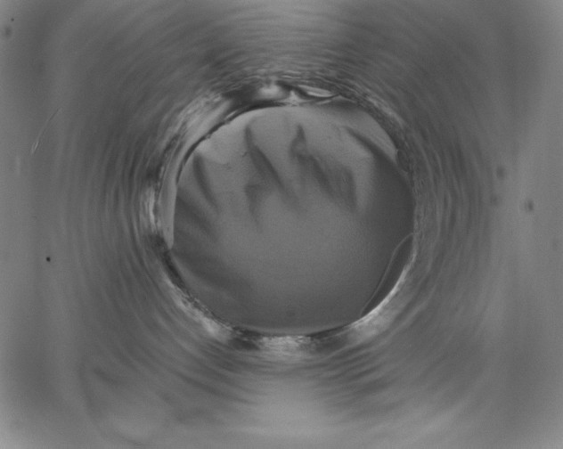 X0000066520192200604071601