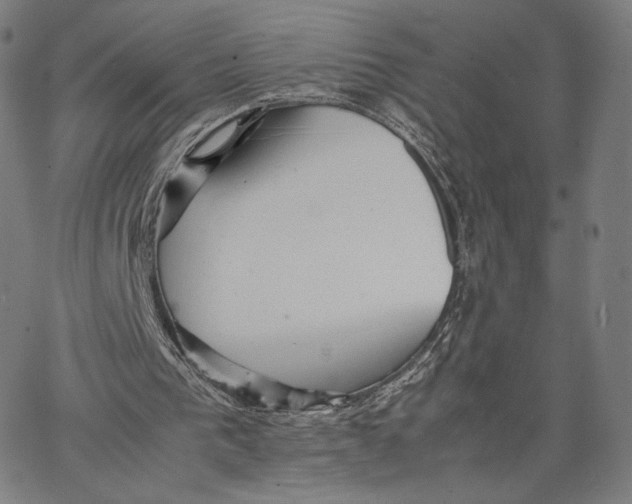 X0000066520193200604071600