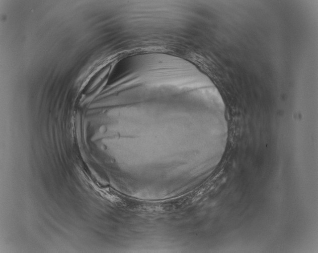 X0000066520194200604071600