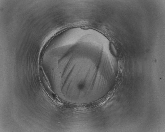 X0000066520196200604071600