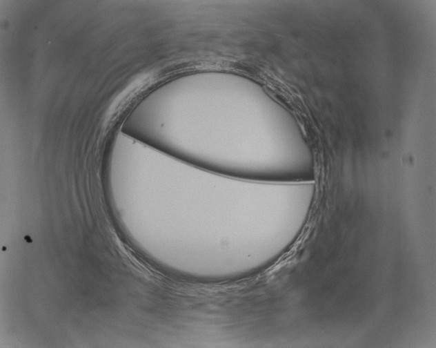 X0000066520197200604071600