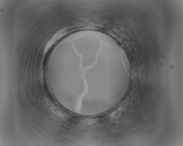 X0000066520198200604071600