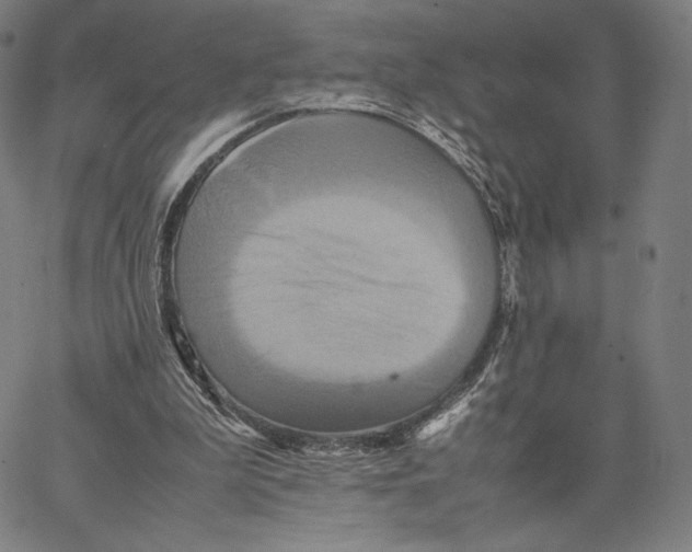 X0000066520199200604071600