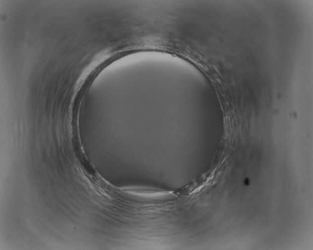 X0000066520200200604071600