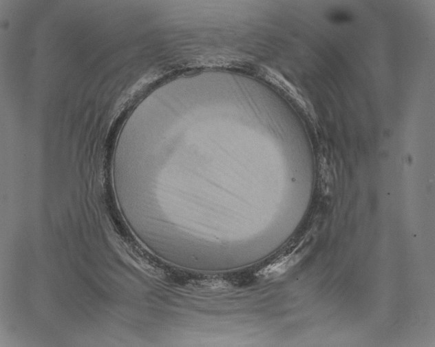 X0000066520203200604071600