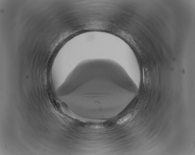 X0000066520204200604071600