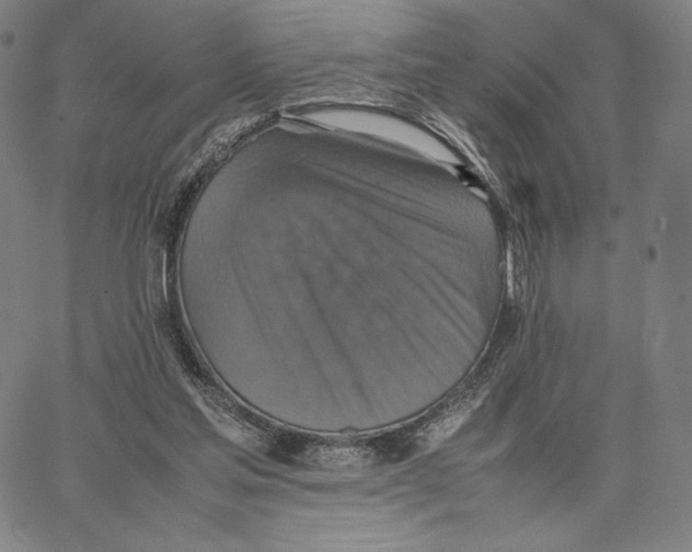 X0000066520205200604071600