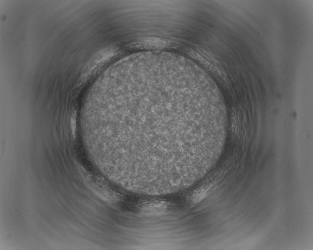 X0000066520206200604071600