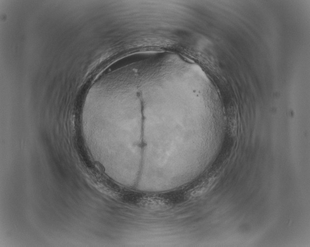 X0000066520207200604071600