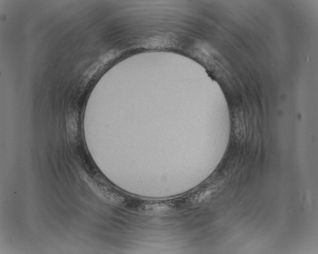 X0000066520208200604071600