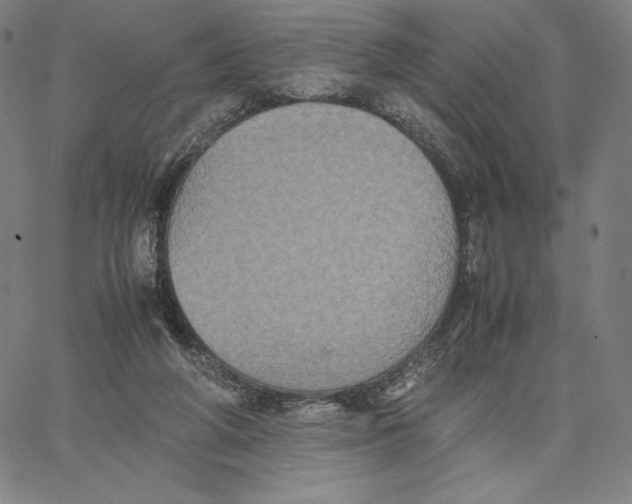 X0000066520210200604071600