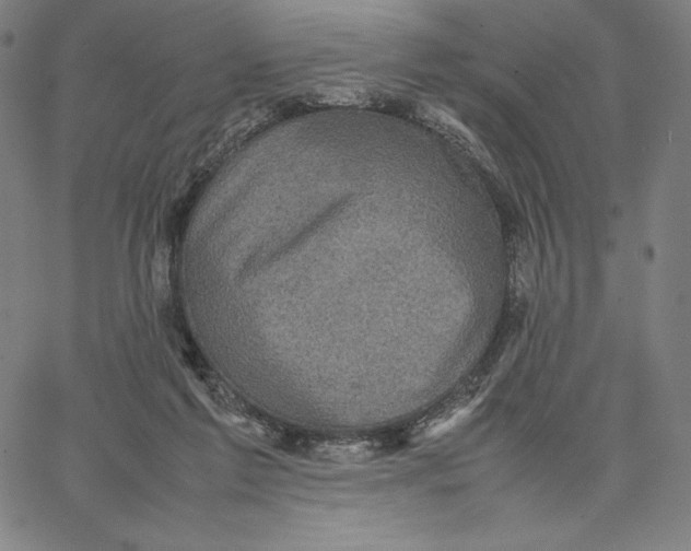 X0000066520213200604071600