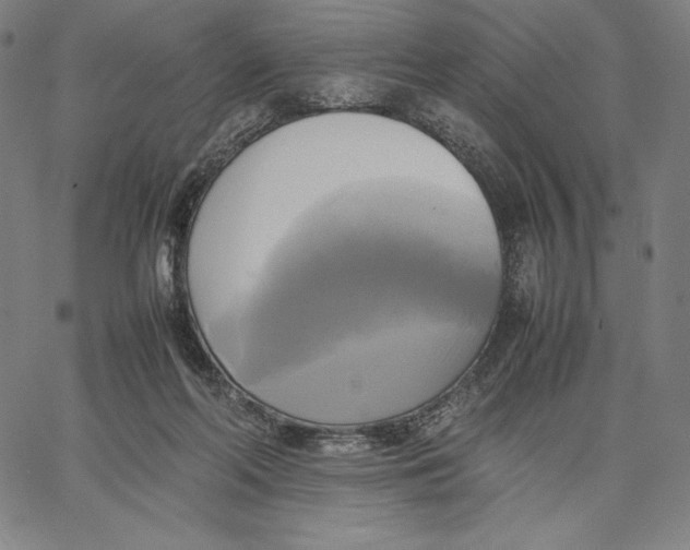 X0000066520214200604071600