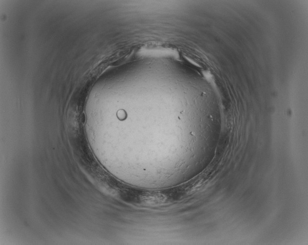 X0000066520215200604071600