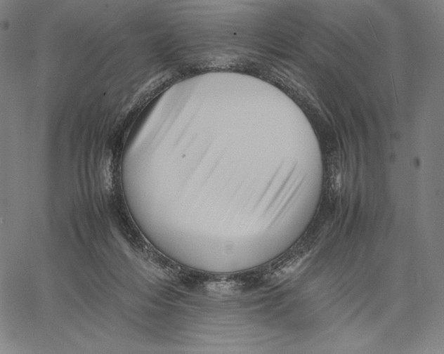 X0000066520216200604071600