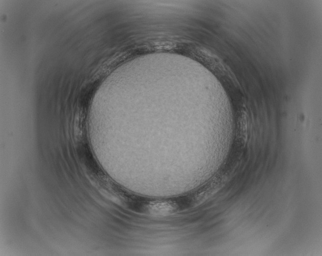 X0000066520218200604071600