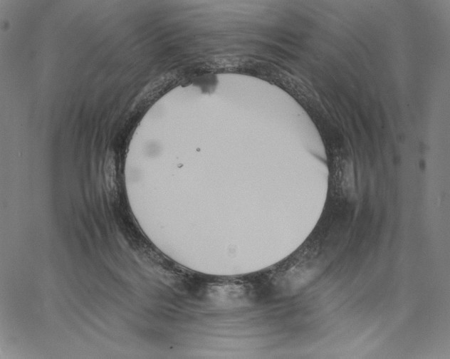 X0000066520220200604071600