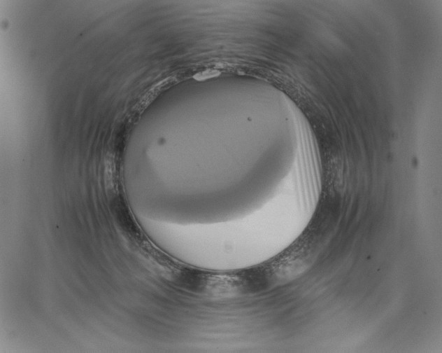 X0000066520222200604071600