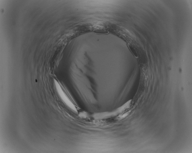 X0000066520223200604071600