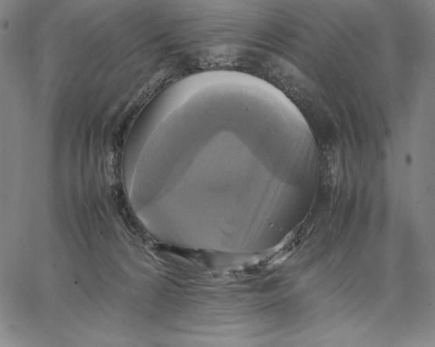 X0000066520224200604071600