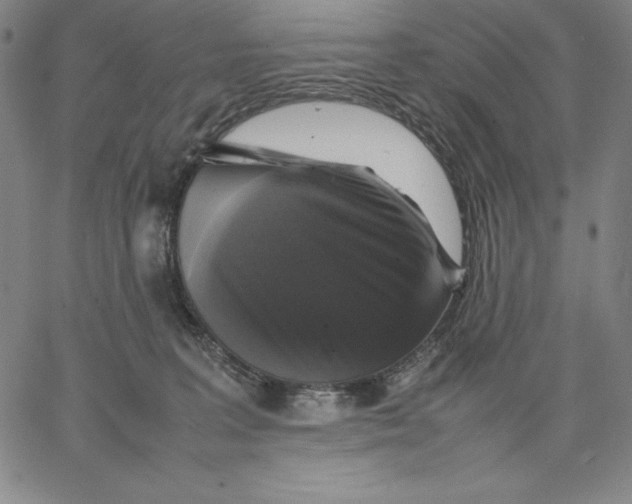 X0000066520227200604071600