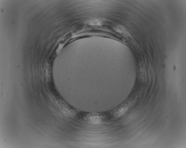 X0000066520228200604071600