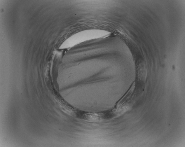 X0000066520229200604071600