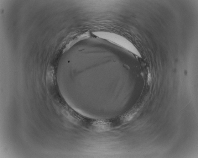 X0000066520231200604071600