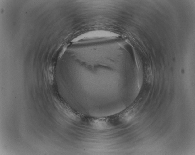 X0000066520232200604071600