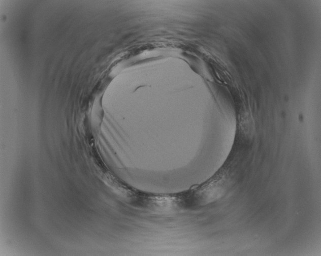 X0000066520233200604071600