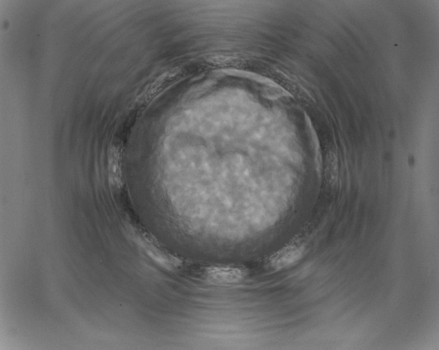 X0000066520234200604071600