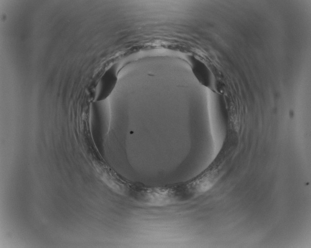 X0000066520235200604071600